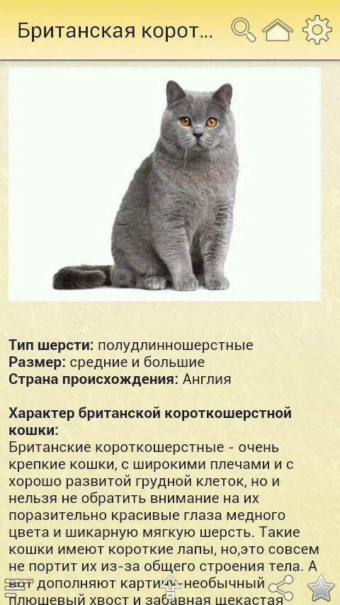Технологическая карта и презентация к уроку окружающий мир "Кошка в нашем доме",