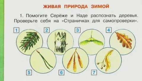 Помоги распознать