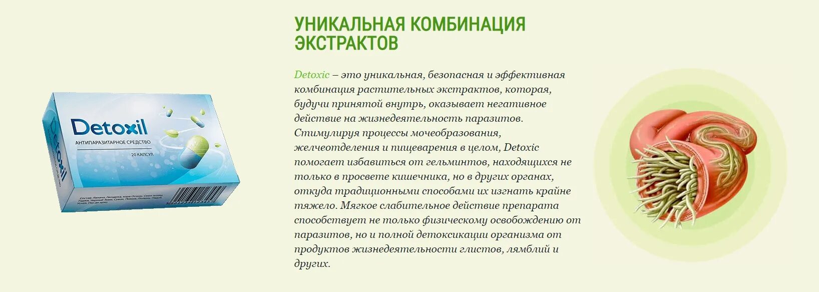 Очищение от паразитов. Очищение от паразитов