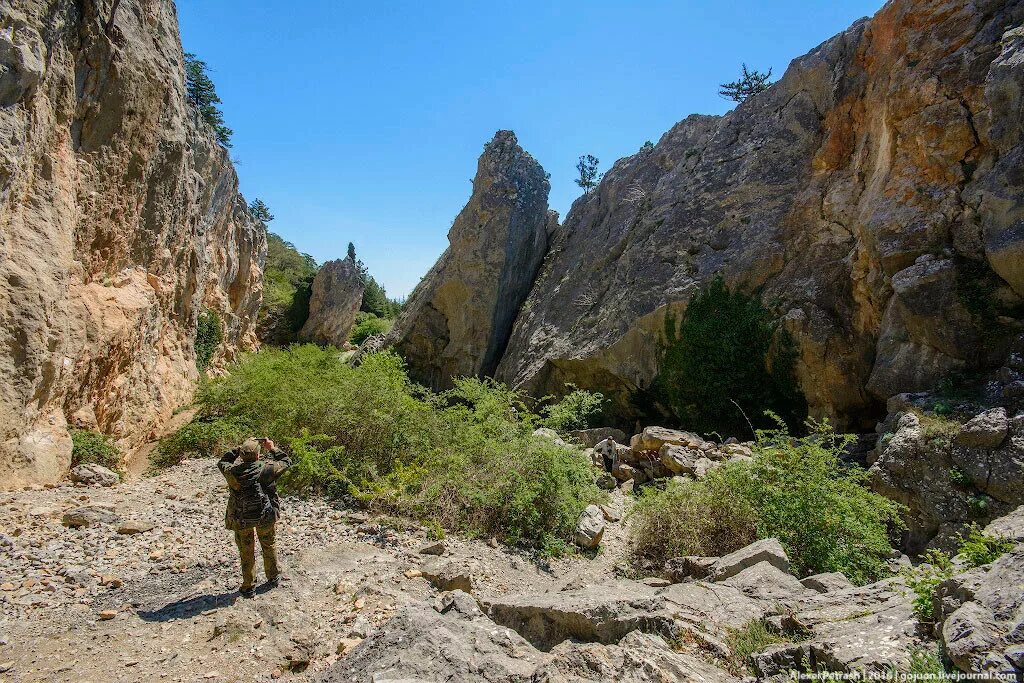 Никитская расщелина (аянские скалы). Расселина это. Расселина это. Расселина это. Никитская расселина крым фото.