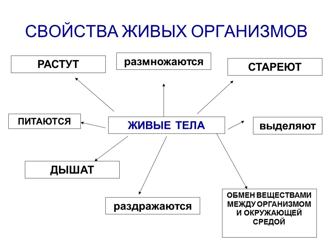 Все живые организмы обладают. Признаки живых организмов. Движение признак живого. Дышит питается растет размножается схема. Признаки живого организма растет, дышит, питается.