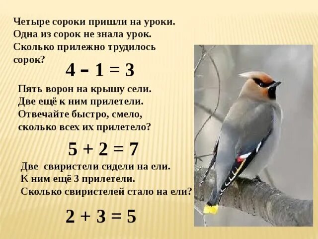 Четыре сороки. Сорок четыре. Сорок сорок пришли на урок загадка. Одна из сорок не то чтобы совсем. Сорок четверо