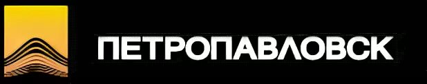 Ооо ук петропавловск. Группа компаний Петропавловск логотип. Петропавловск плс компания. УК Петропавловск логотип. Петропавловск компания золото.