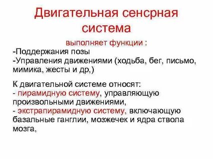 Значение сенсорных систем