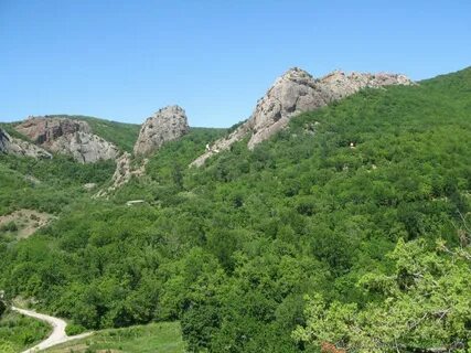 Леса крыма