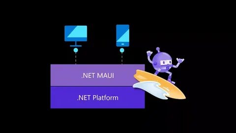 Net maui
