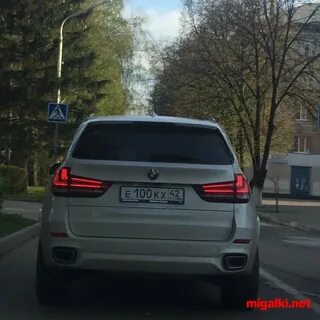 Ее 100