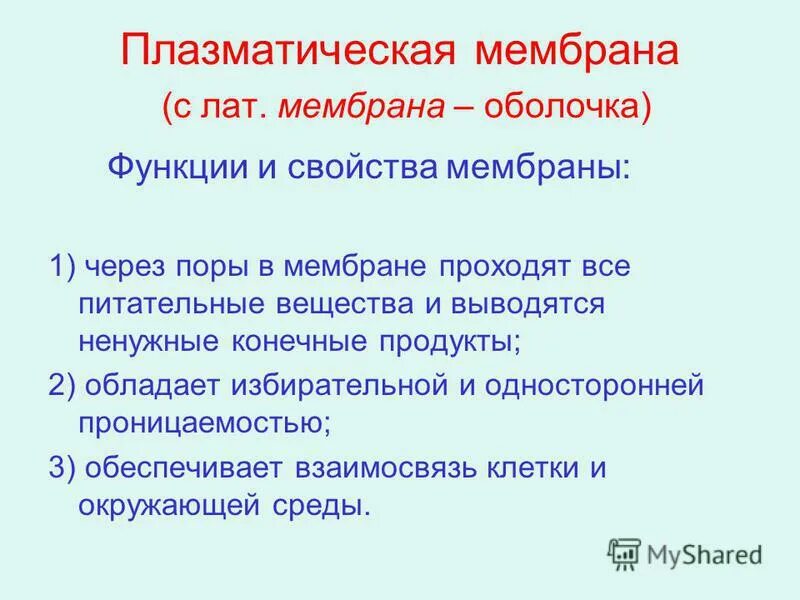 Свойства функции мембраны