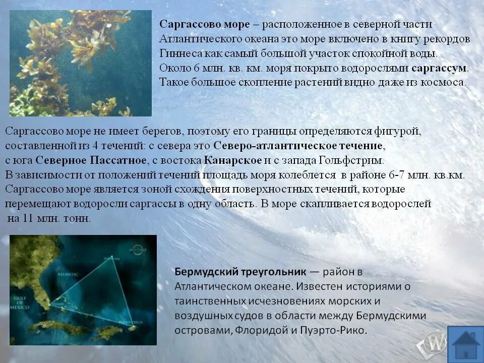 Сообщение о мировом океане