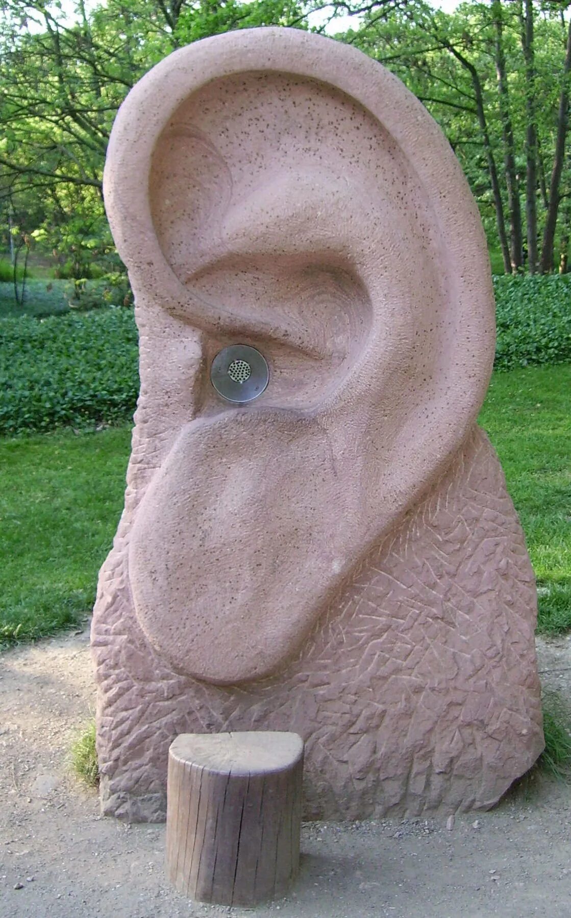 Креативные картинки. Свободные уши. Ухо прикол. Ухо ван гога. Шутки про сережку.