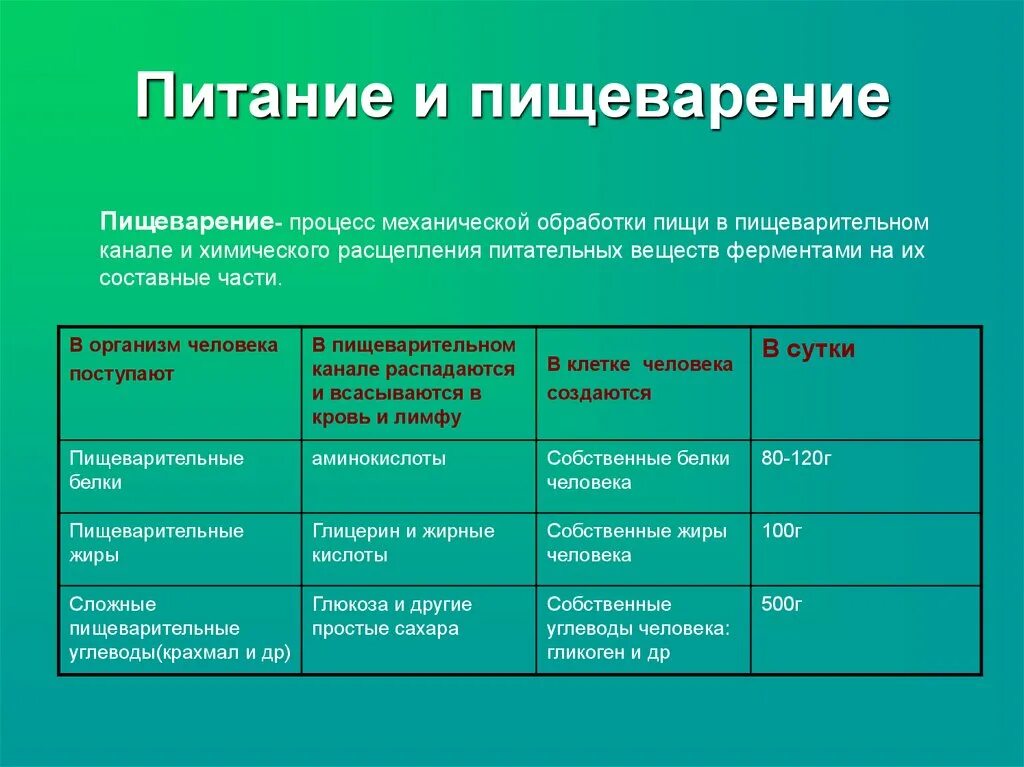 Химическое изменение пищи. Питание и пищеварение. Питание и пищеварение таблица. Таблица питательные вещества в пищеварительной системе. Механический процесс пищеварения.