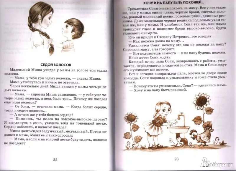 Сухомлинский сказка о гусыне. Цветок солнца Сухомлинский. В.Сухомлинский рассказы сказки.