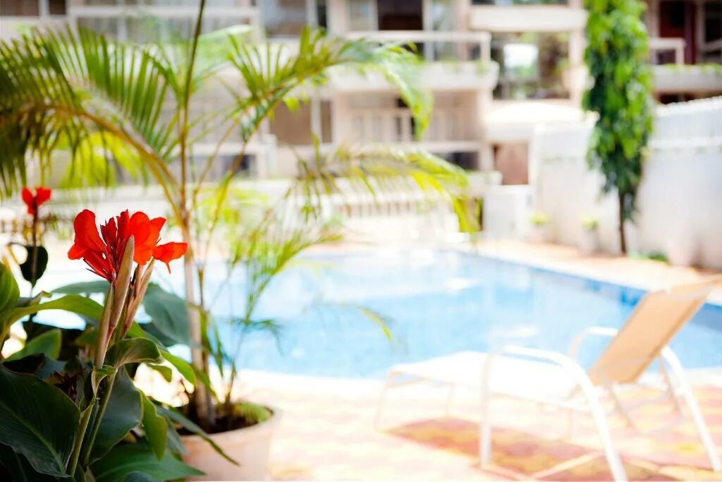 Ocean palms 4 индия север гоа. Ocean palms 4 северный гоа. Ocean palms 4 гоа. Quality inn ocean palms goa. Tropical palms отель гоа.