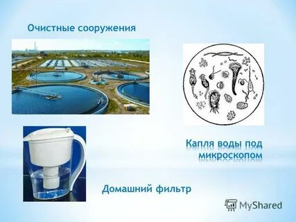 Где очищают воду