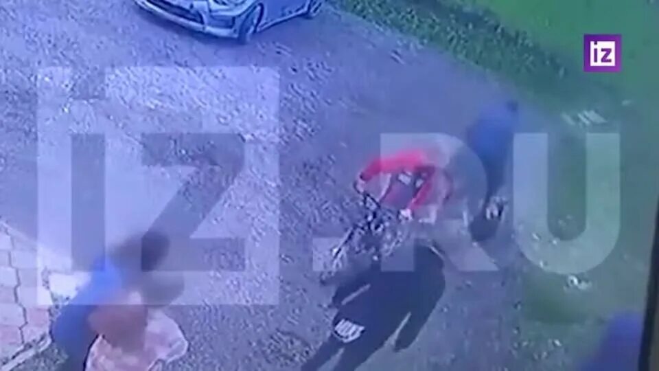 Драка сыновей. Драка сыновей