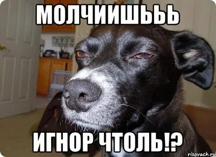 Ай эм сорри ты в игноре