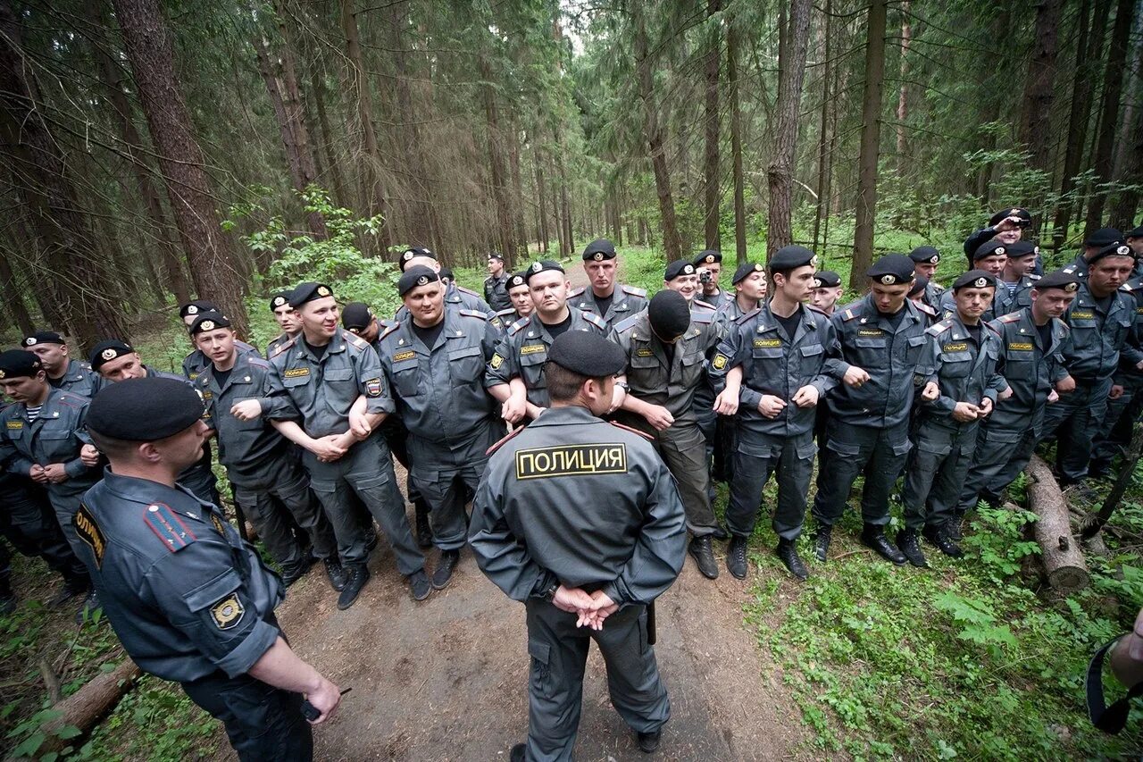 Поиск полиции. Полицейские в лесу. милиция в лесу. полицейские ищут в лесу. засада полиции.