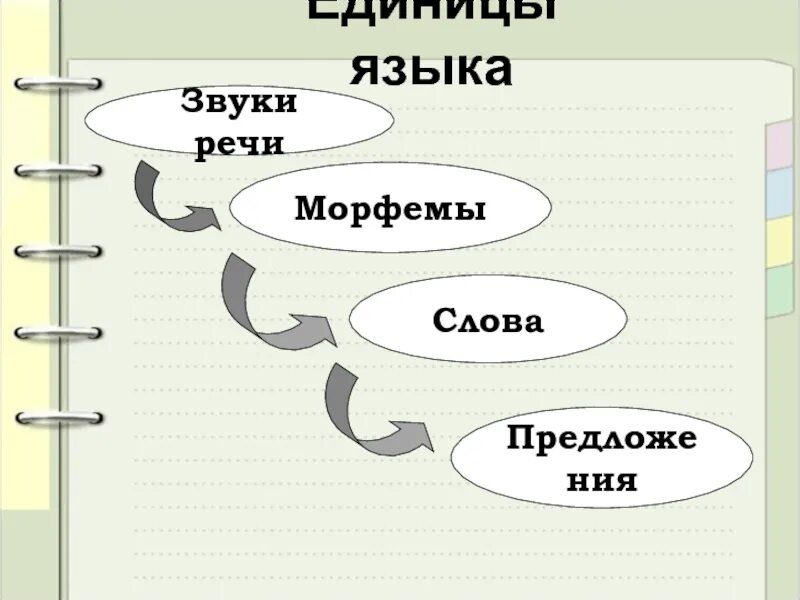 Единица языка это. Звуки речи предложения морфемы. Структурные единицы языка. Языковые уровни. Схема уровни языка 5 класс.