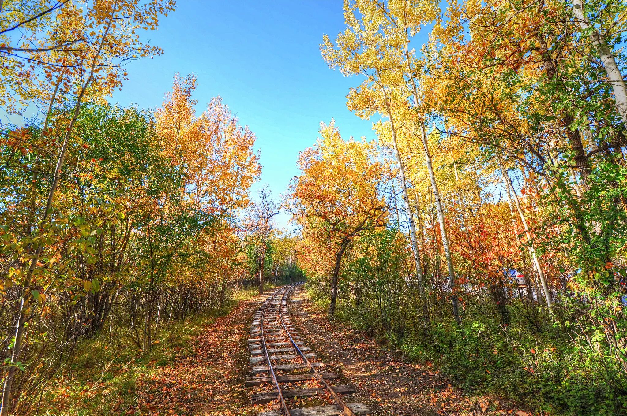 Железная дорога осень. Осенний лес. Железная дорога в осеннем лесу. Рельсы в осеннем лесу.