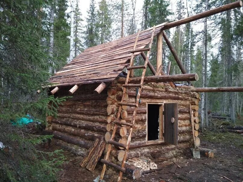 Лесная избушка в тайге. Охотничьи избушки в тайге. Охотничья изба землянка. Охотничьи зимовья и избушки в тайге. Сосновый лес изба скит торжок.