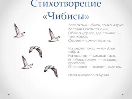 Главная мысль рассказа чибисы