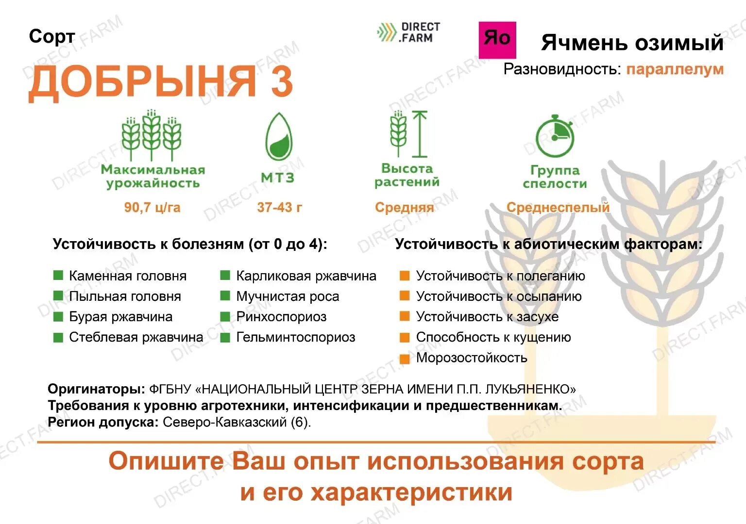 Виды ячменя растения. Технологическое возделывание ячменя. Характеристика озимого ячменя. Технология возделывания ярового ячменя. Технологическое возделывание ячменя.