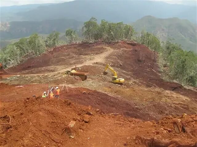 Mining life