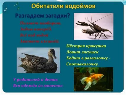 Пруд загадка