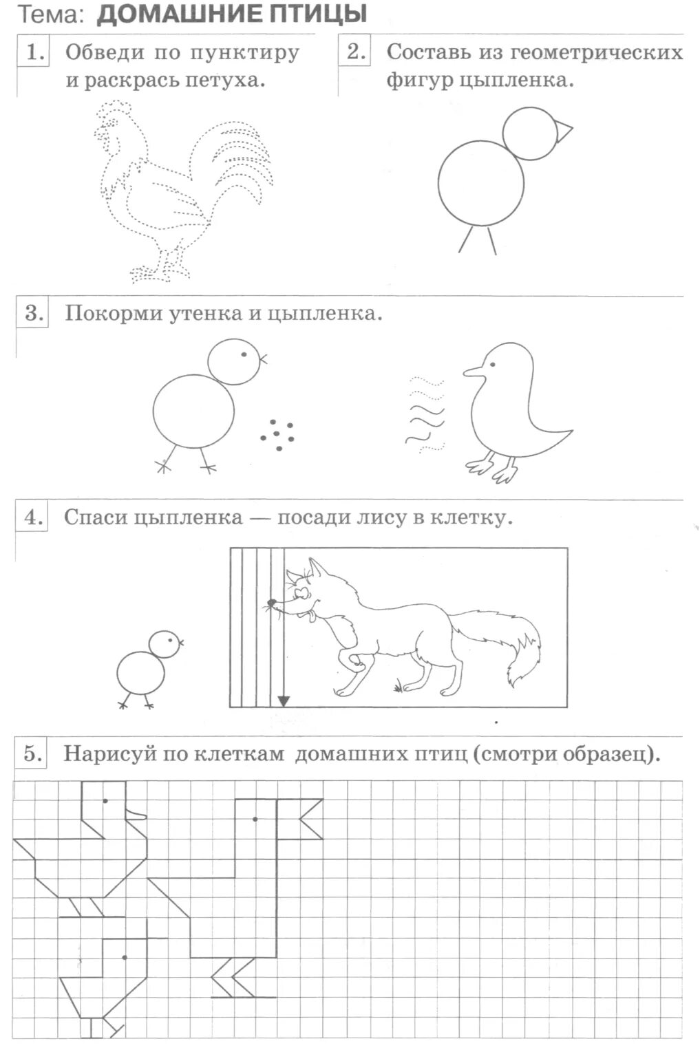 Домашние птицы задания для детей с ЗПР. Задания дефектолога домашние птицы. Задания на тему домашние птицы для дошкольников. Граб графические навыки рабочая тетрадь. Задание логопеды домашние птицы