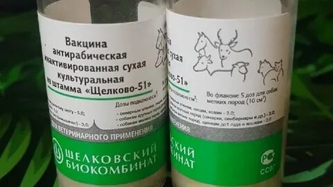Рабиков вакцина инструкция