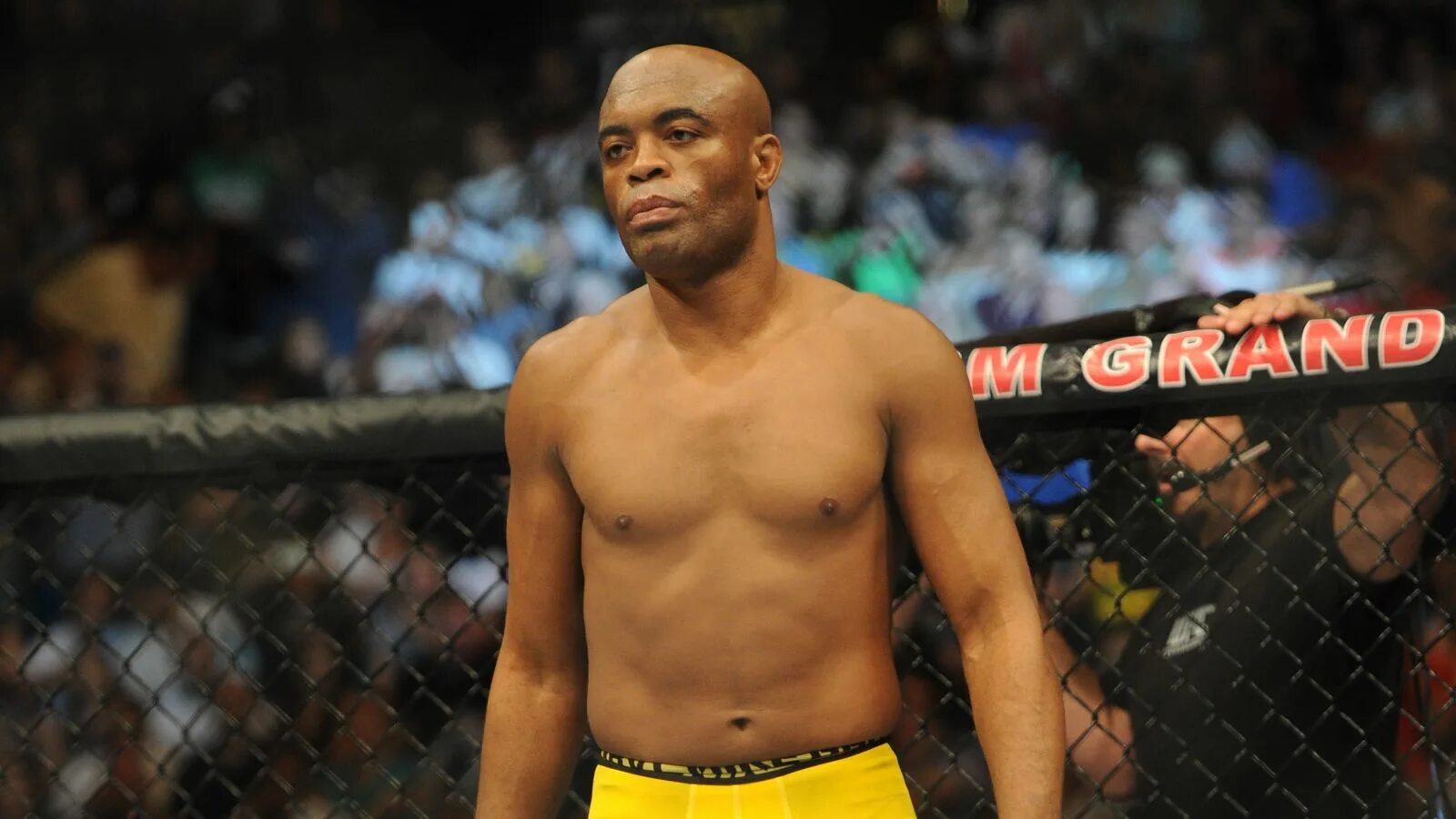 Андерсон силва. Андерсон силва бокс. Андерсона видео. Пэм и томми. Андерсона видео.