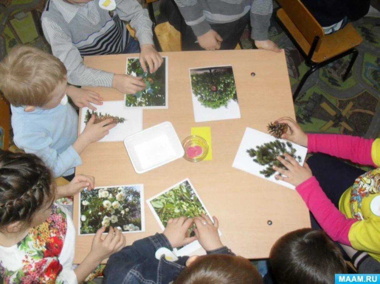 Занятие по экологии. Экология в старшей группе знатоки природы. Экология в подготовительной группе. Занятие защитники природы в старшей группе