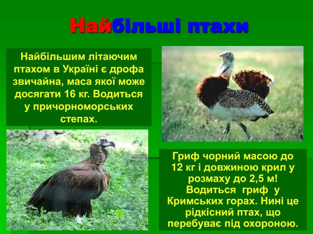 Най най най тю най най. Книга с пазлами техника росмэн. Най най най тю най най. Говерла высота над уровнем моря. Ялпуг озеро на карте украины.