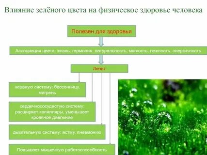 Зеленый цвет на карте это