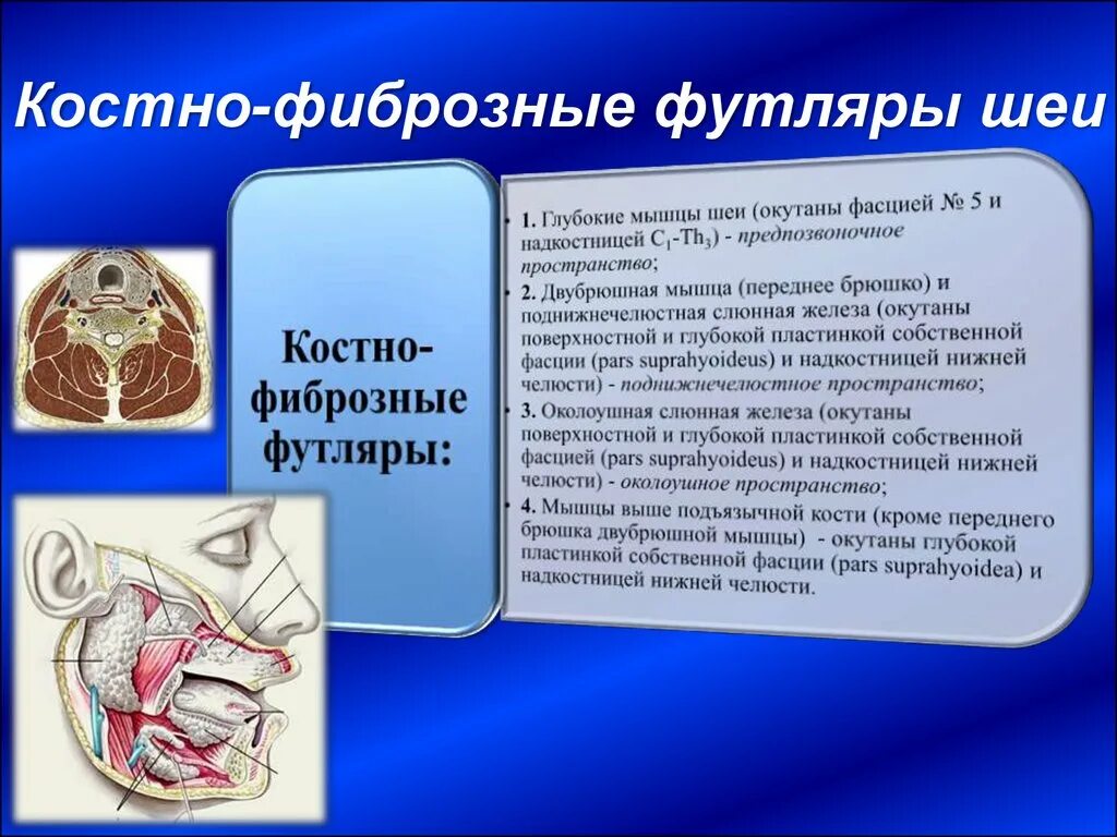 Фиброзная кортикальная дисплазия. Фиброзные каналы. Синовиальные влагалища сухожилий на стопе. Фиброзная дисплазия малоберцовой кости в верхней 1/3. Голеностопный сустав топографическая анатомия.