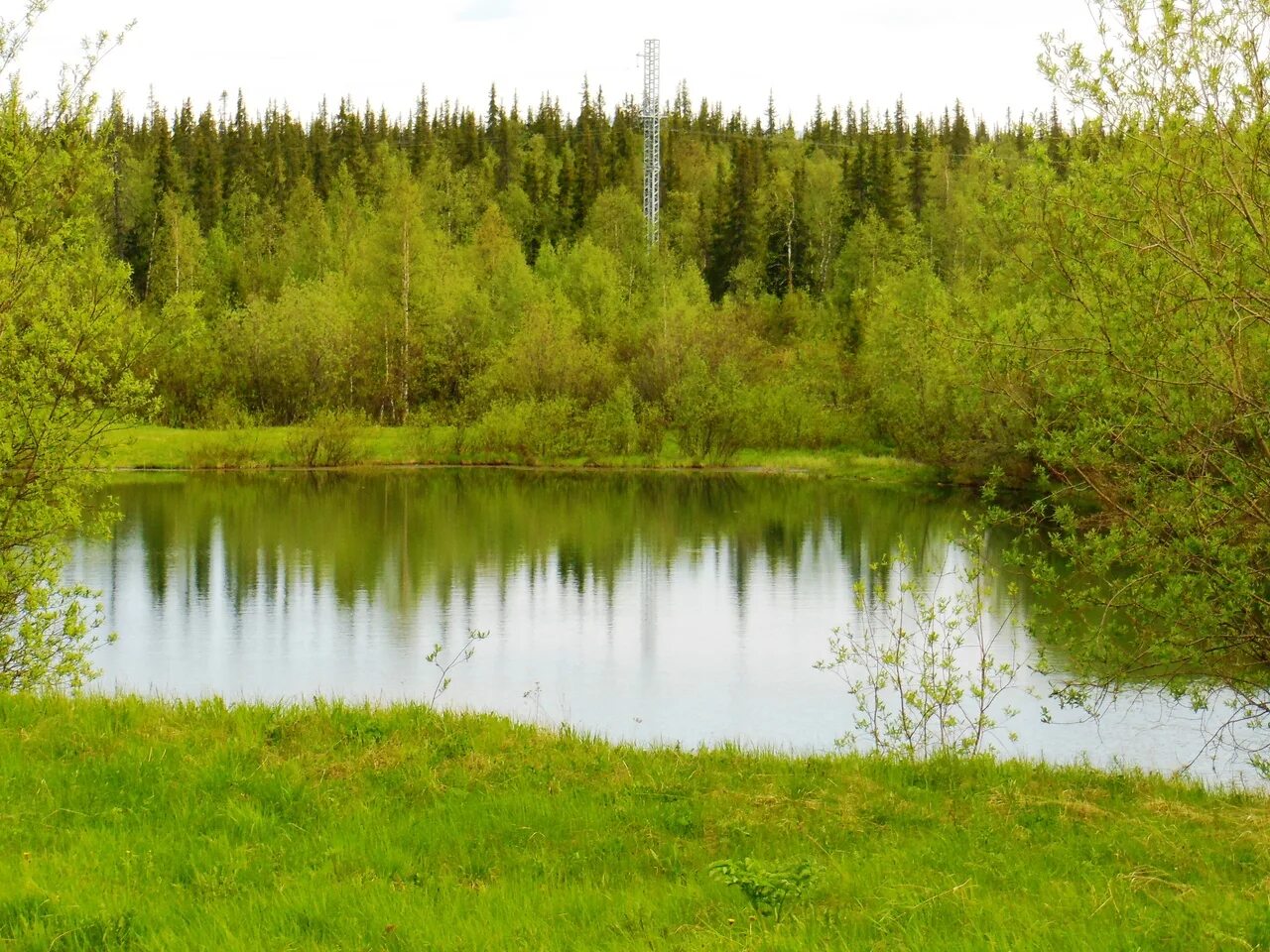 озера коми края. параськины озера республика коми. озеро синдор коми. озеро донты республика коми. горное озеро (приполярный урал).