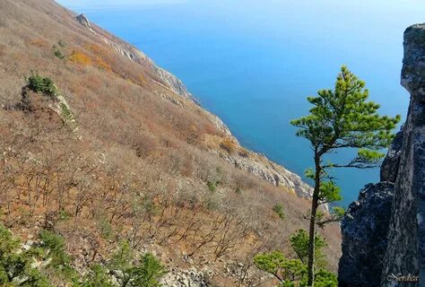 В дубовом редколесье