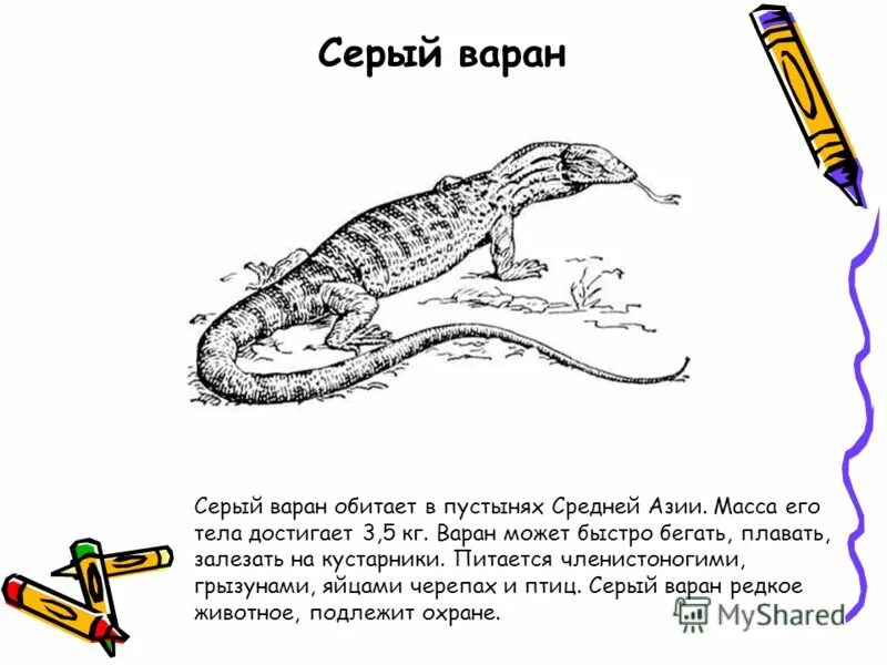 Рассмотри рисунки о каком нибудь пресмыкающемся. Рассмотри рисунки о каком нибудь пресмыкающемся. Особенности внешнего вида серого варана. Отряды земноводных и пресмыкающихся. Позвоночные животные пресмыкающиеся.