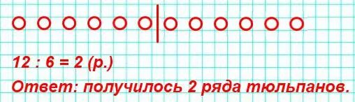 Сколько луковиц в каждом ряду. Посадили 12 тюльпанов по 6 тюльпанов в каждом ряду. Посадили 12 тюльпанов по 6 тюльпанов в каждом ряду схематический. Посадили 12 тюльпанов в два ряда поровну. Сделать схематический рисунок к задаче.