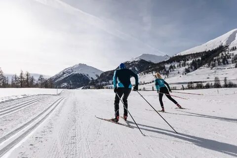 Подготовленная лыжная трасса