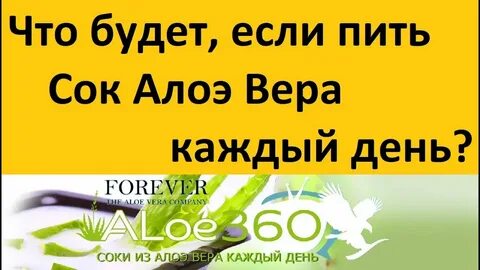 День алоэ
