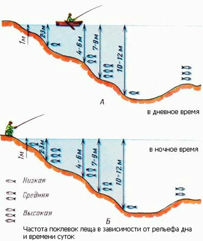 В каких местах ловить рыбу. Рельеф дна для ловли судака. Точка ловли леща на реке. Перспективные места для ловли. Бровка на реке.