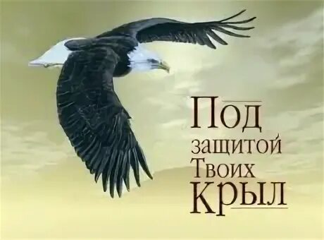 Песня под защитой твоих крыл