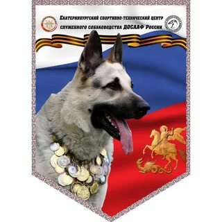 День немецкой овчарки