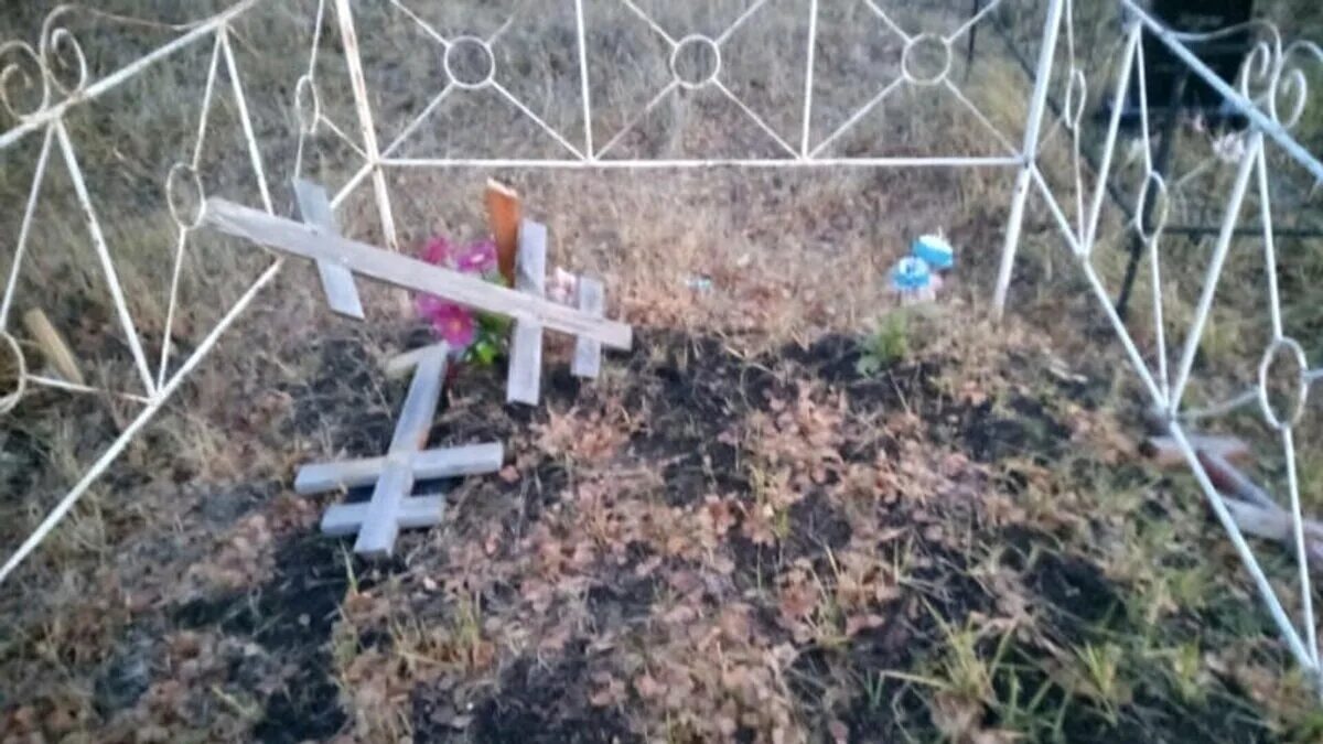 Видео могилки