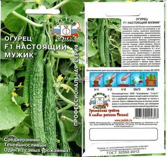 Огурцы сорт муму