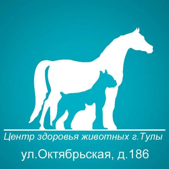 Зоомаг в миассе внутри. Здоровье животных миасс. Зоодом королев. Здоровье животных миасс. Зоомагазин миасс.