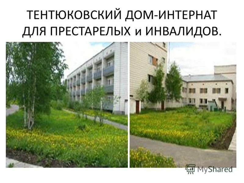 Тентюковский дом интернат сыктывкар на 90 мест. Тентюковский дом интернат для престарелых. Тентюковский дом интернат сыктывкар. Гбу рк "тентюковский дипи". Тентюковский дом интернат сыктывкар.