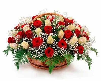 Красное белое корзина
