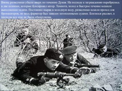 Подходы к заграждениям и окопам заминированы вид